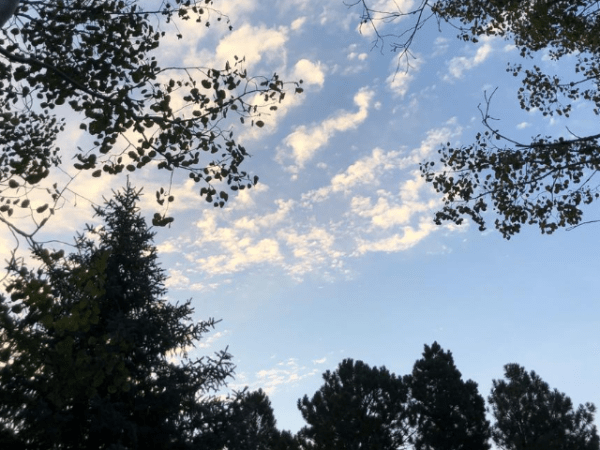 Historias Zen para nutrir el&nbsp;alma