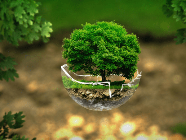 Cambio climático y contaminación de suelos, agua y&nbsp;aire